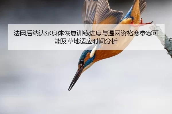 法网后纳达尔身体恢复训练进度与温网资格赛参赛可能及草地适应时间分析
